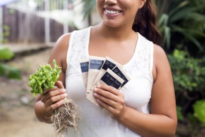 Shorebride Seed Packets